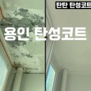 용인 성복동 탄성코트 베란다 누수 곰팡이 방지 페인트 시공 후기