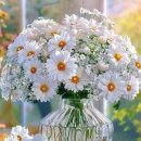 늘을1로 이미지