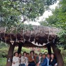 현대자동차토평점 | 제주도 택시투어 요금 및 제주 단체여행 후기
