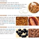 법인우리농산 이미지