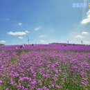 014-운정1-014 이미지