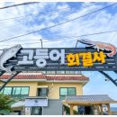 고등어회결사 이미지