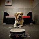주주동물병원 이미지