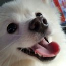 창현동물병원 이미지