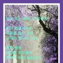 길목 Daum카페