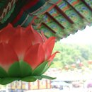 보명사 이미지