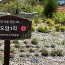 도암1리 이미지