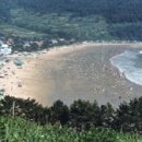 송정솔바람해변3 이미지