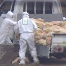 미양농장 이미지