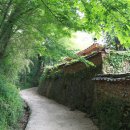 강골민박 이미지