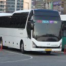 천일관광여행사 이미지