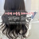 머리끄댕이 | [리뷰] 이수역 미용실 끄댕이 보미쌤 레이어드펌 추천