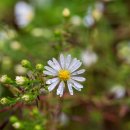 운학동 돌방무덤 이미지