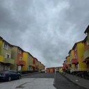 소락스위스 이미지