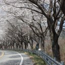 죽곡 태안교 네이버블로그