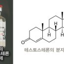 테스토스테론 이미지