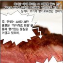육가대표 이미지
