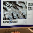 (주)아우토플라츠 판교서비스센터 | 판교헤드스파 환절기가려움 프라이빗 두피관리 모디슨 판교본점