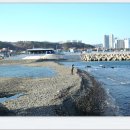 정자항 공원 이미지