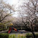 사파동202 이미지