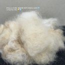 뽑고가요 이미지