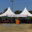 표선면-1 이미지