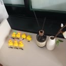 라인댄스(수요반)(1) | 청주에서 라인댄스 자격증 따기: 생각보다 쉬웠던 이유