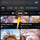 봄날의 강아지 이미지