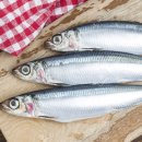 플랜A휘트니스 이미지