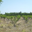 삼달보건진료소 이미지