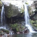 한라산천연보호구역 이미지