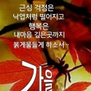 "'서울둘레길' 4코스 일부분(수서역~대모산~구룡산~매봉역) 산책"＜2023.10.09(월)＞ 이미지