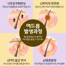 내각한의원 네이버블로그