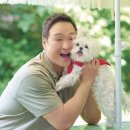 무지개다리 이미지