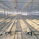 조성농장 이미지