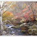 백천계곡 이미지