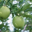 개인택시(김영수) 이미지