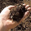 건강한 토양의 5대 구성성분이란? What are the 5 components of healthy soil? 이미지