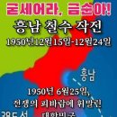🚢굳세어라 금순아 이미지