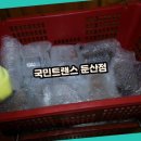 국민트랜스 둔산점에서의 특별한 포장 이사 경험 💕
