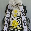 고대1118 이미지