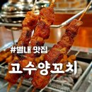 [고수양꼬치] 단골들 발길 끊이지 않는 별내 양꼬치 맛집