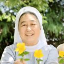 사월문