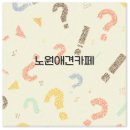 멍스하우스 | 노원역 애견카페와 노원구 강아지카페 추천부터 사고 예방까지 알아보아요