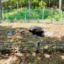 운학동 돌방무덤 이미지