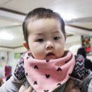 우양과메기