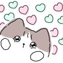 명성보리밥쌈밥