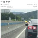 주디마리 이미지