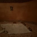 도봉산불가마사우나 이미지