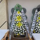 조앤조연합치과의원 이미지